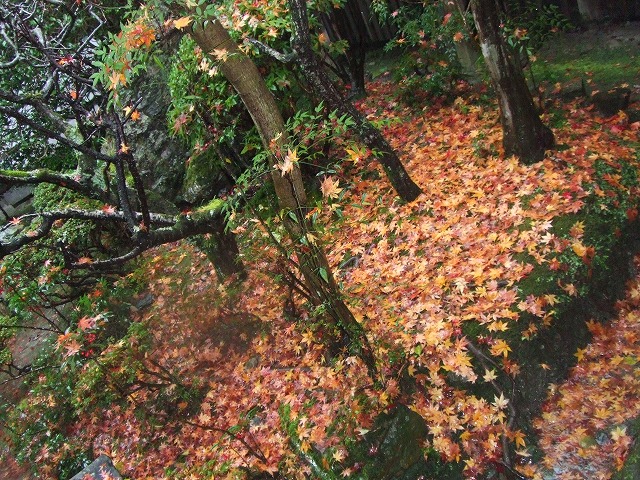 b0108732_225802.jpg