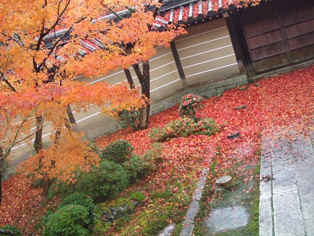 b0108732_22581866.jpg