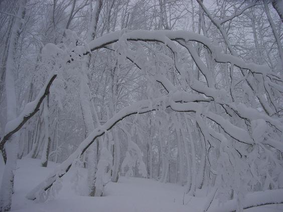 f0118332_21233987.jpg
