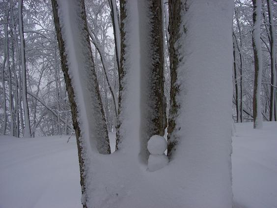 f0118332_21312962.jpg