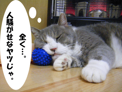 f0008935_13414297.gif