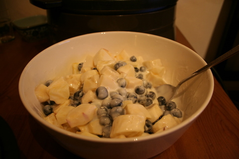 e0018143_4432252.jpg