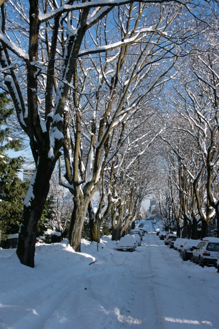 f0084544_123353.jpg