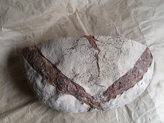 f0009451_14321771.jpg