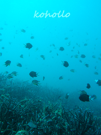 b0062363_2211143.jpg