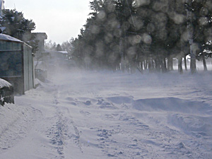 a0050669_14263457.jpg