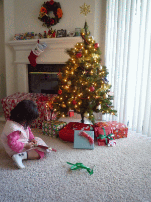 f0186671_1330569.gif