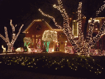 f0186671_2445036.gif