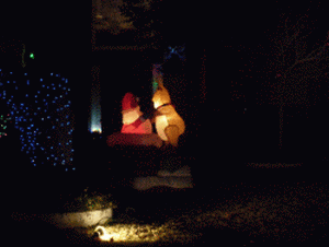 f0186671_2495482.gif