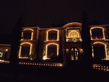 f0186671_353440.gif
