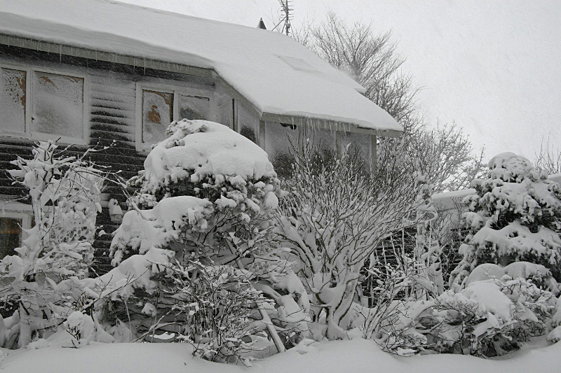 e0100772_21361110.jpg