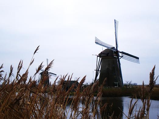 b0137274_24691.jpg