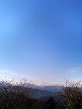f0054677_108454.jpg