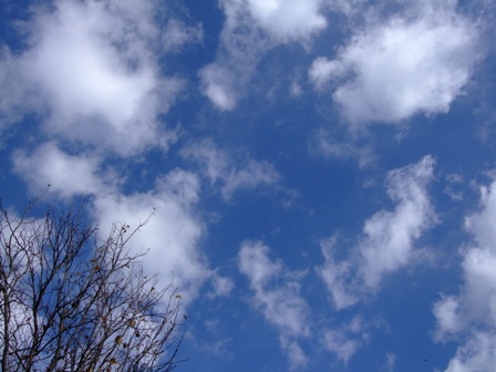 c0078480_2282910.jpg