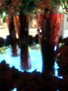 f0100480_20591465.jpg