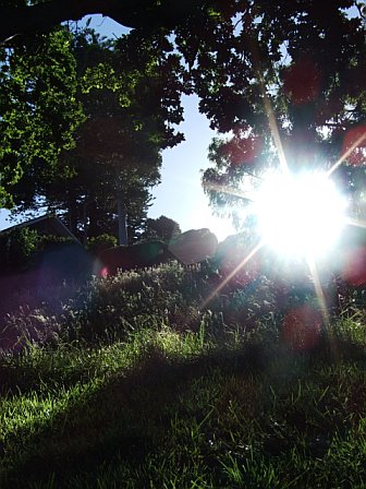 f0023791_172876.jpg