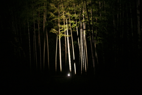 c0129498_934370.jpg