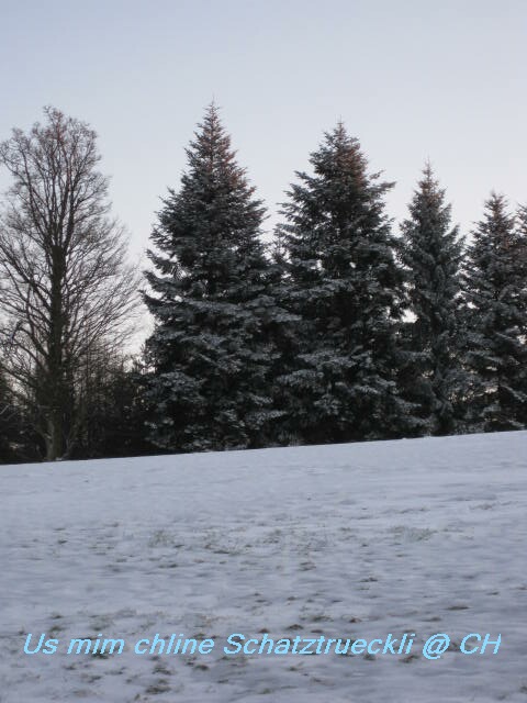 f0186607_7372797.jpg
