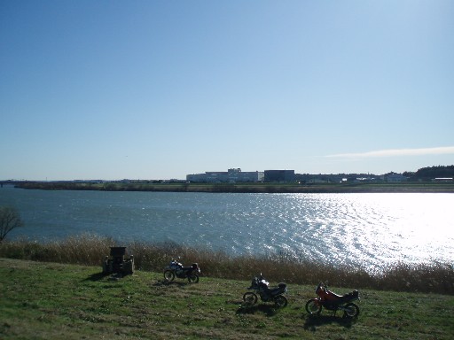 e0118908_2031496.jpg