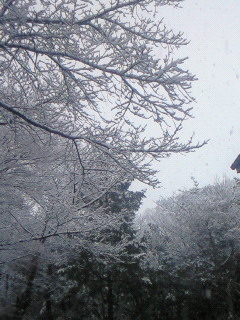 e0142311_18361110.jpg