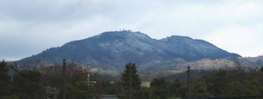 f0135222_1984560.jpg