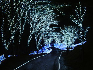 e0009324_2535287.jpg