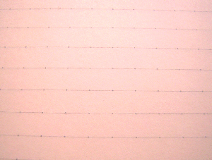 d0017632_1242166.jpg