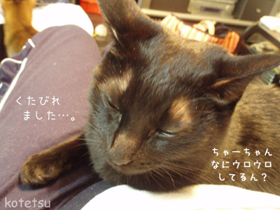 c0132438_23131362.jpg