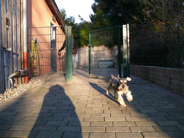 c0153740_6404144.jpg