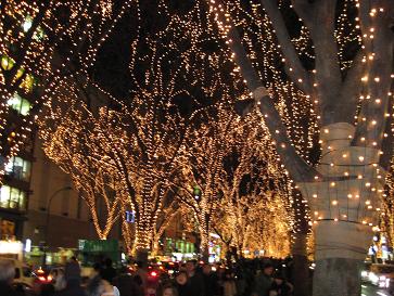 c0096353_2026761.jpg