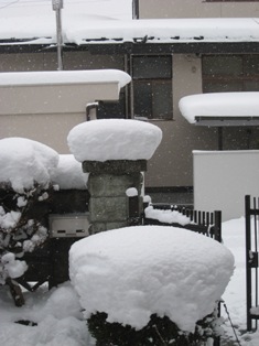 e0015964_2303090.jpg