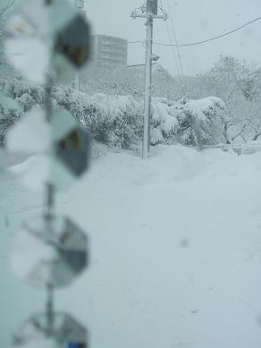 f0177165_042979.jpg