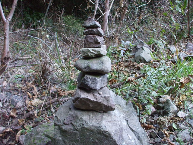 c0138868_1720361.jpg
