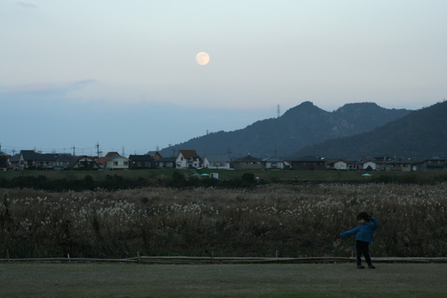 c0163369_044571.jpg