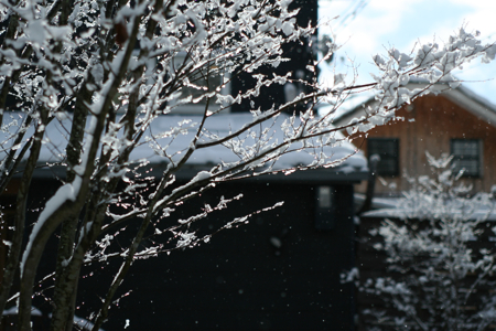 c0163369_116121.jpg