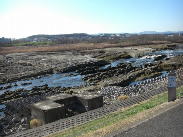 d0132969_18184690.jpg