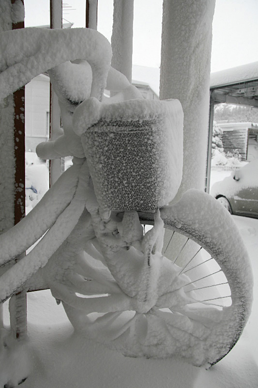 e0100772_21321534.jpg