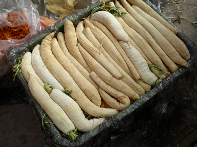 d0040076_20552250.jpg