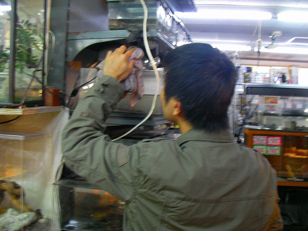 e0099576_22505299.jpg