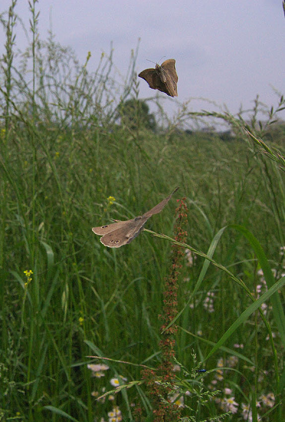 f0090680_11272225.jpg