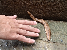 c0105785_21251694.jpg