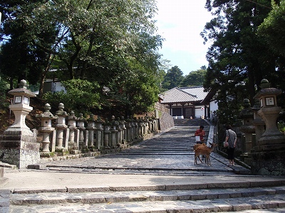 c0105785_2152247.jpg