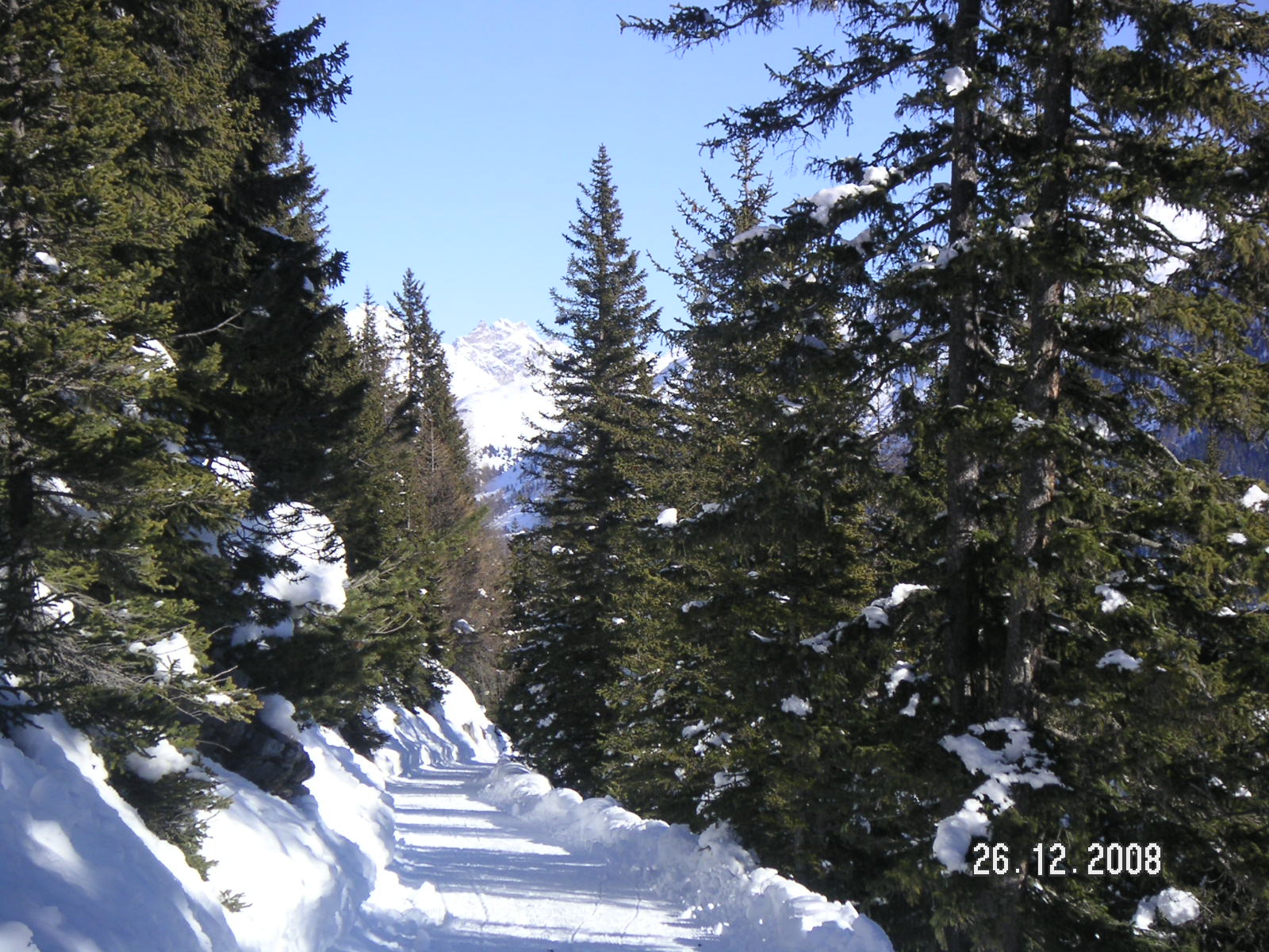 c0188086_5171049.jpg