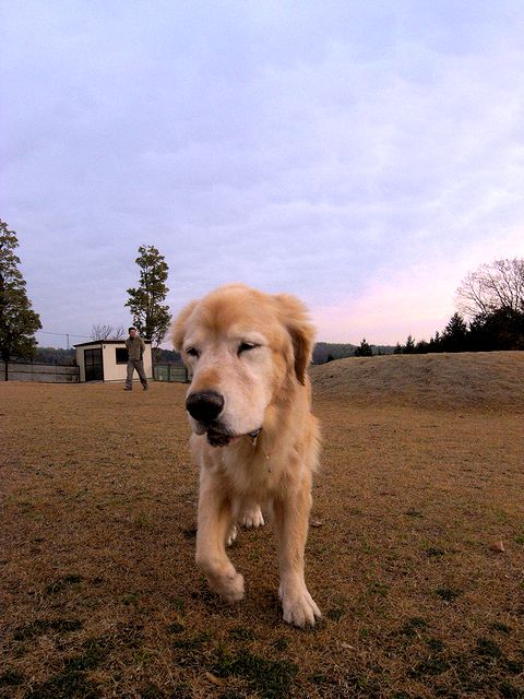 a0093592_22501316.jpg