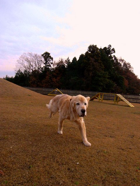 a0093592_23123342.jpg