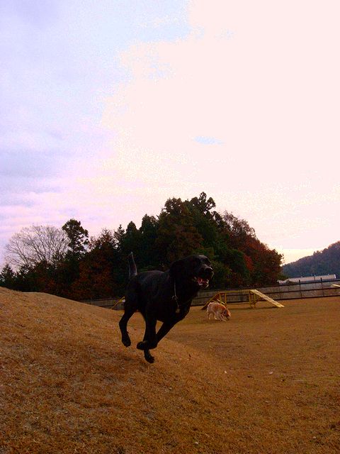 a0093592_2314738.jpg