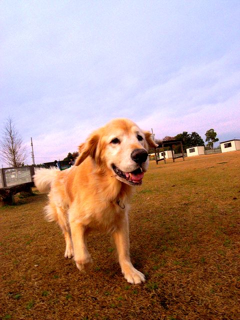 a0093592_2325027.jpg
