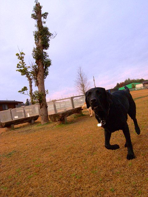 a0093592_23281.jpg