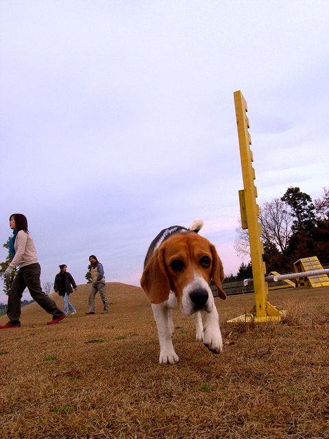a0093592_235048.jpg