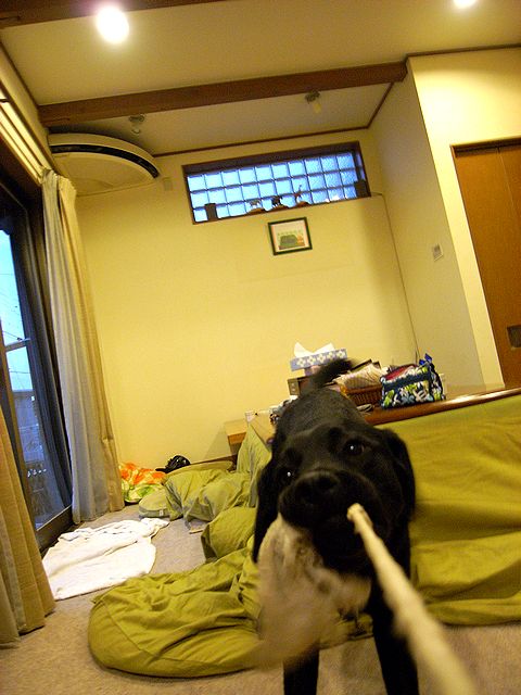a0093592_23545949.jpg